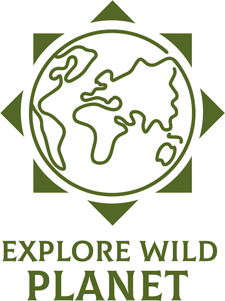explore wild planet